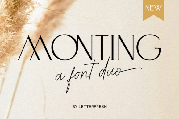 Monting Duo: A Modern Font Pairing for Elegant Design